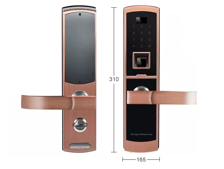 Biometric door lock-FP-306