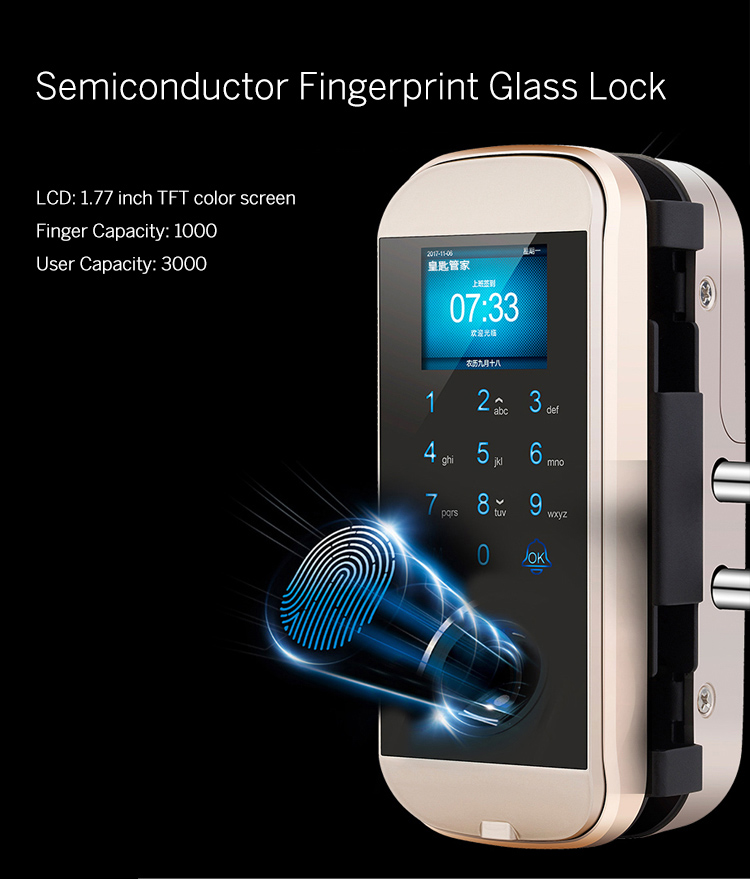 Fingerprint Glass Door Lock