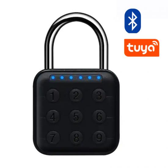 Cadenas à empreinte digitale Bluetooth Tuya avec code PIN
    